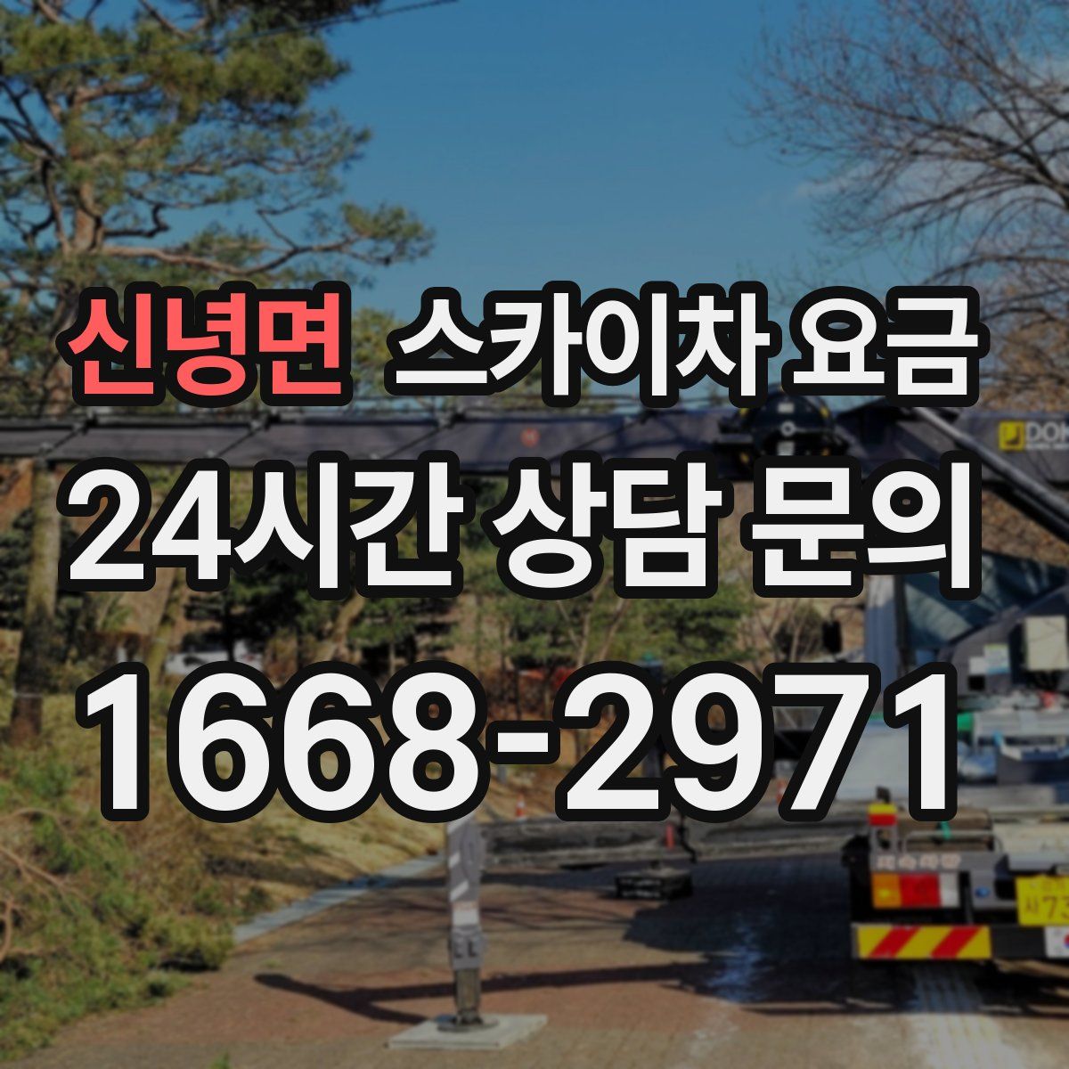 신녕면 스카이차 요금