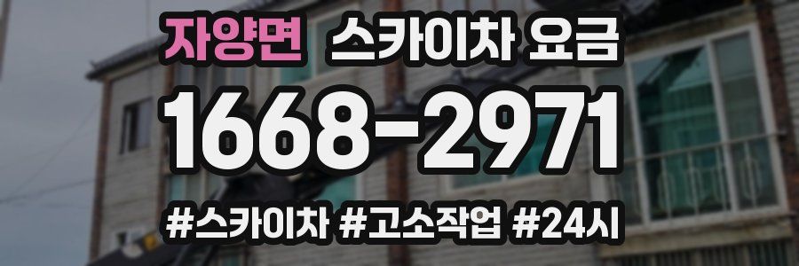 자양면 스카이차 요금