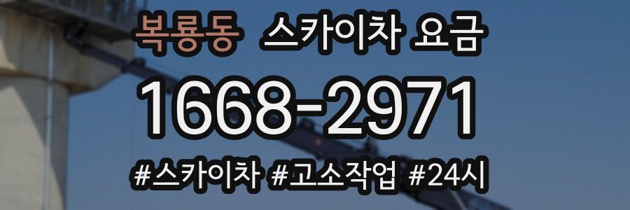 복룡동 스카이차 요금
