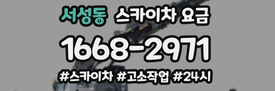 서성동 스카이차 요금
