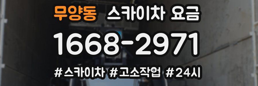 무양동 스카이차 요금