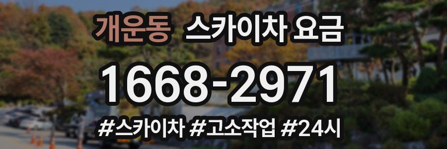 개운동 스카이차 요금