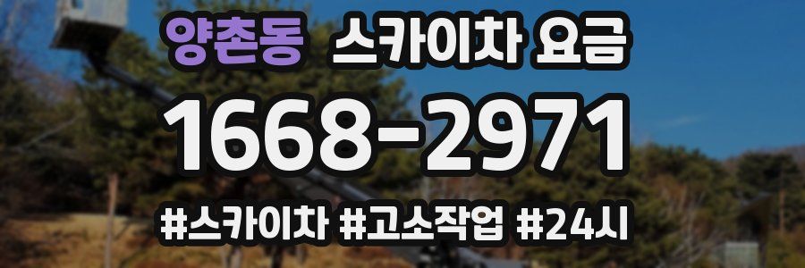 양촌동 스카이차 요금