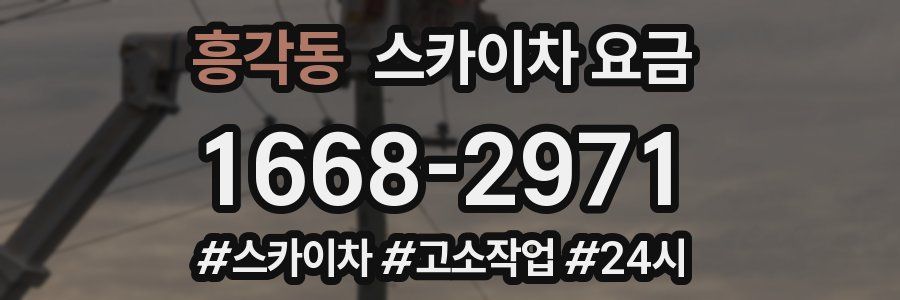 흥각동 스카이차 요금