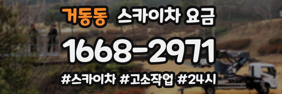 거동동 스카이차 요금