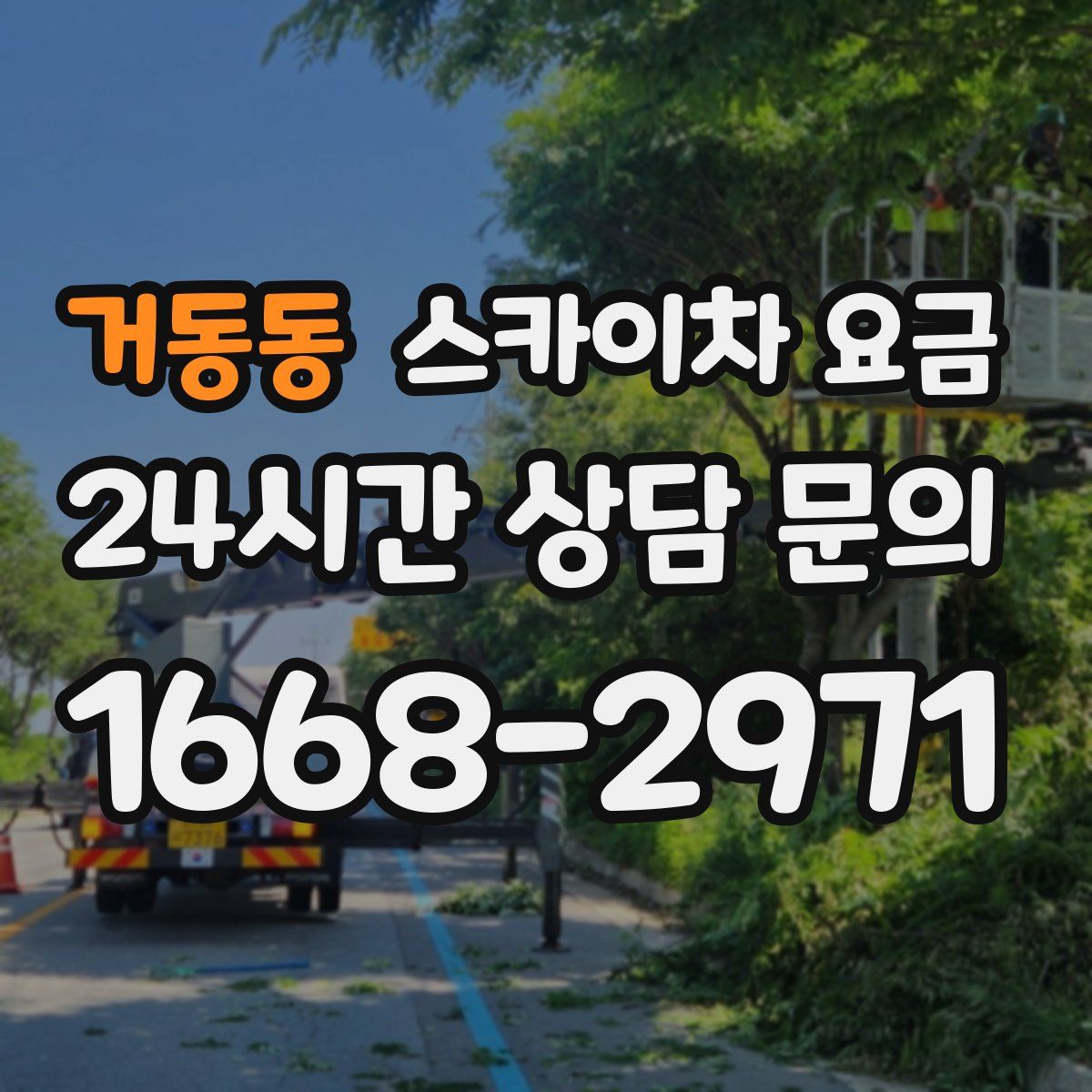 거동동 스카이차 요금