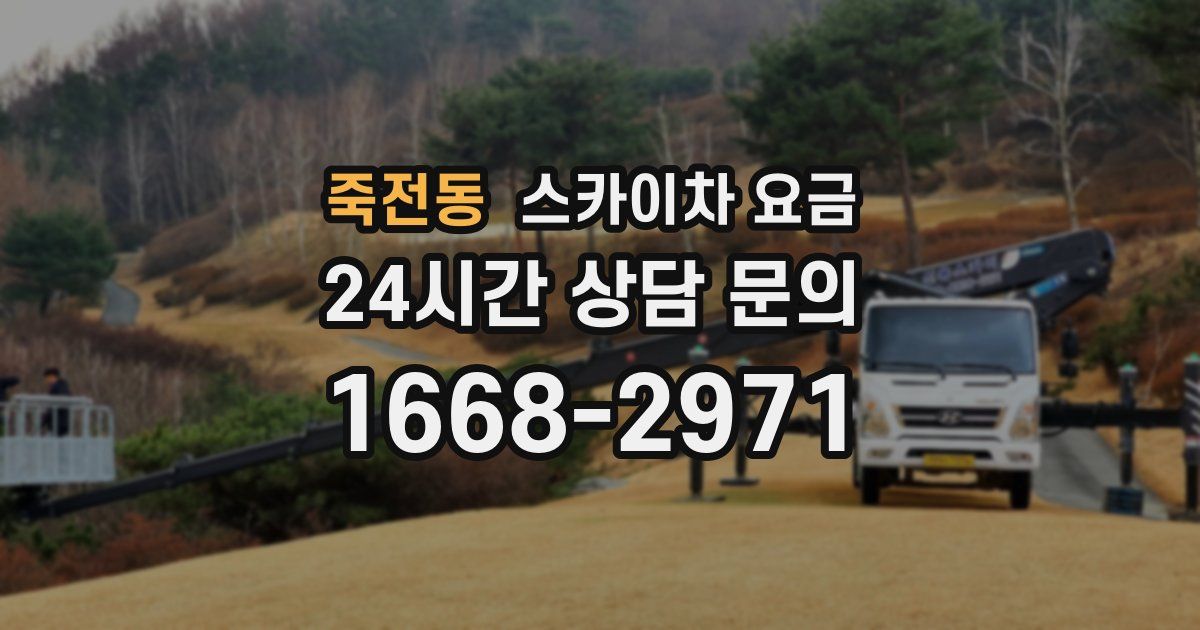 죽전동 스카이차 요금