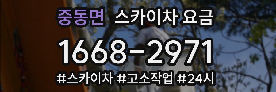 중동면 스카이차 요금