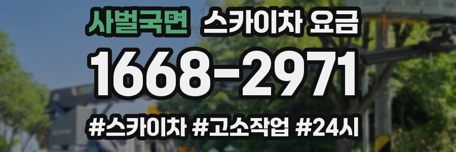 사벌국면 스카이차 요금