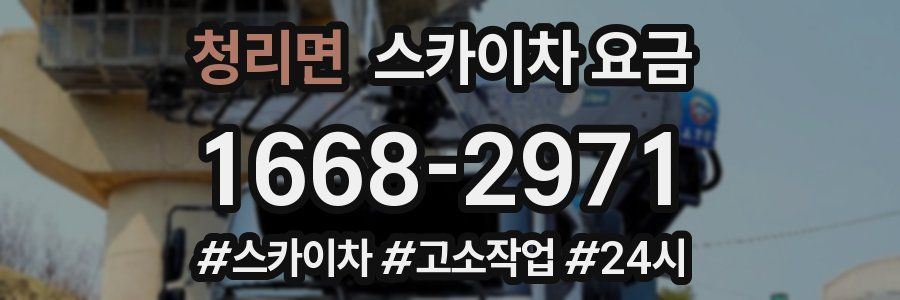 청리면 스카이차 요금