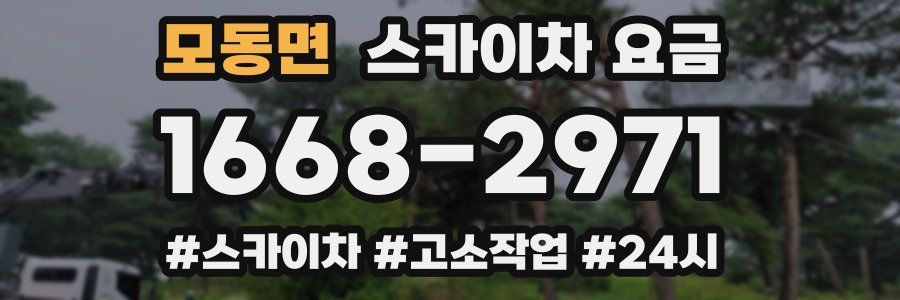 모동면 스카이차 요금