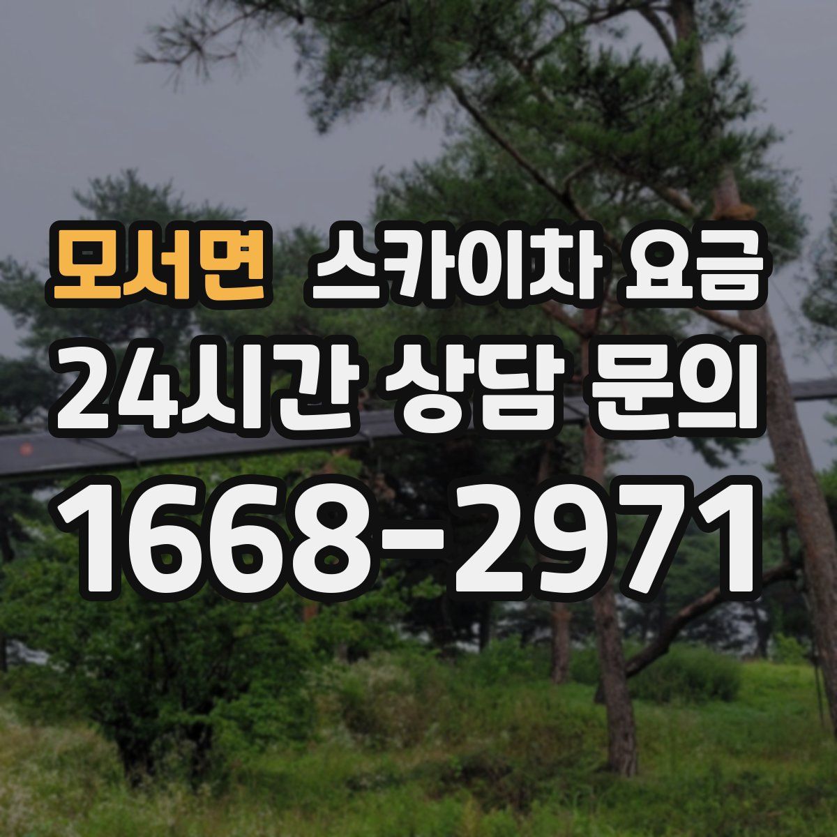 모서면 스카이차 요금