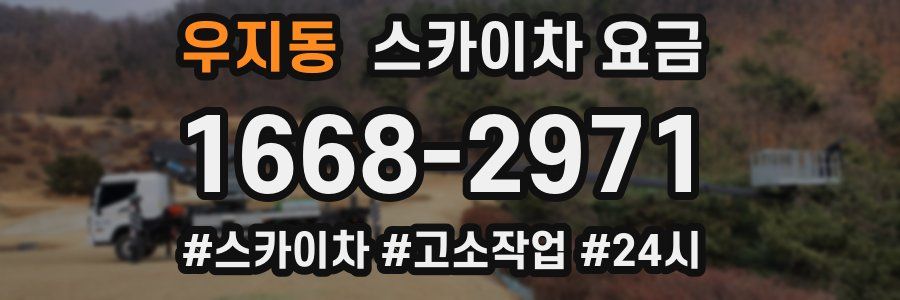 우지동 스카이차 요금
