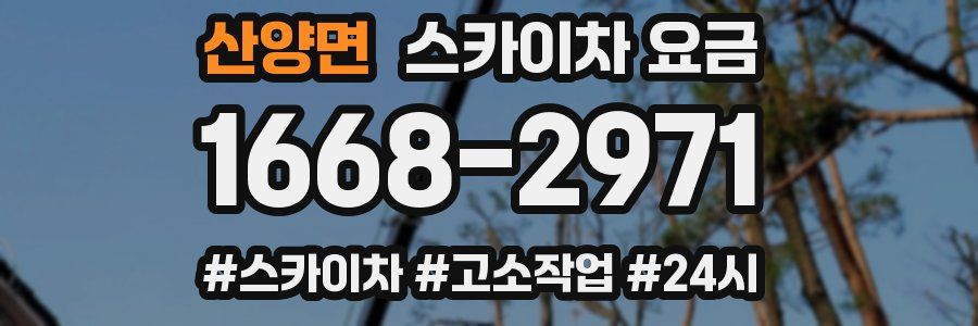 산양면 스카이차 요금