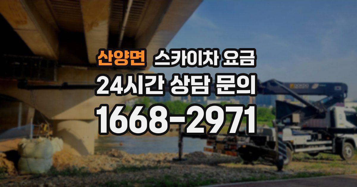 산양면 스카이차 요금
