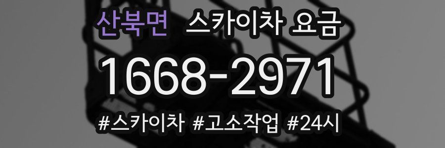 산북면 스카이차 요금