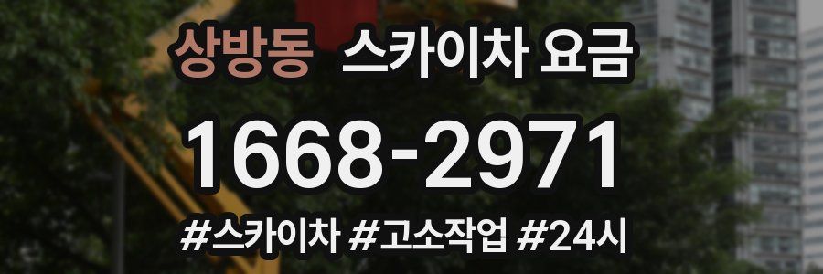 상방동 스카이차 요금