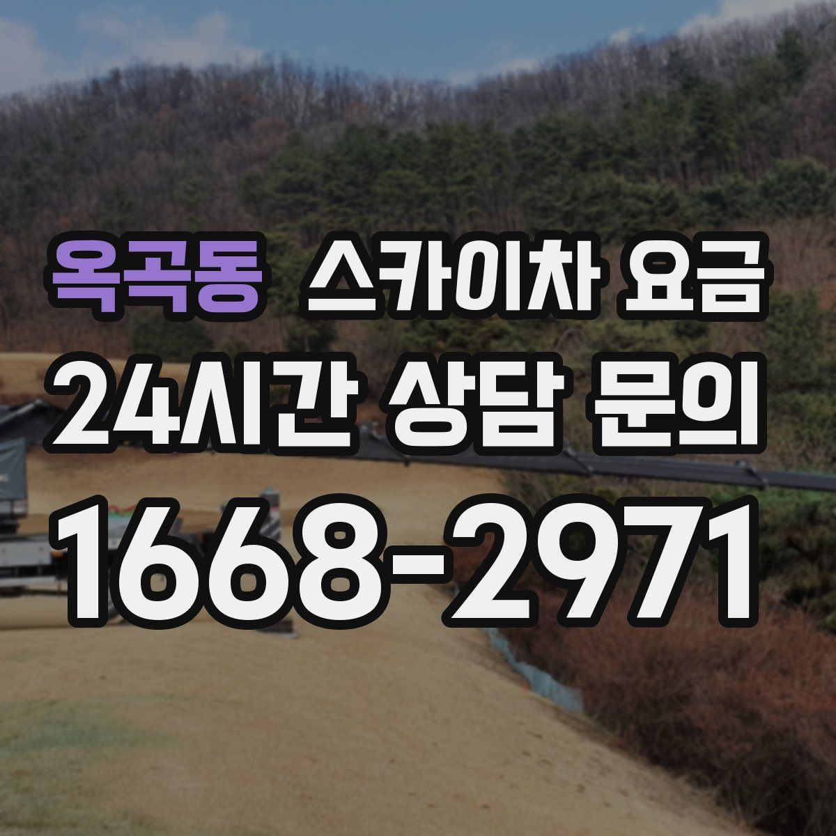 옥곡동 스카이차 요금