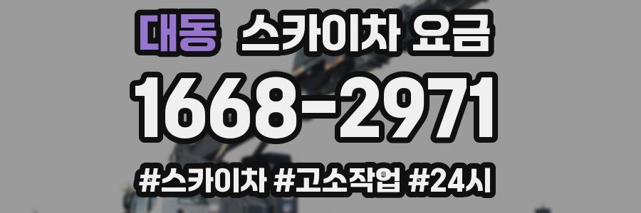 대동 스카이차 요금