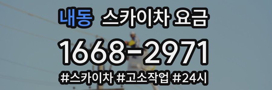 내동 스카이차 요금