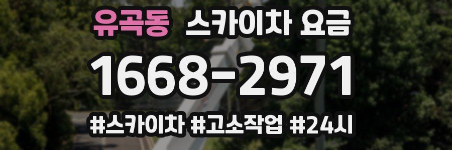유곡동 스카이차 요금