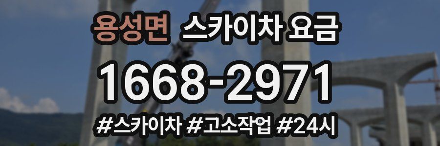 용성면 스카이차 요금