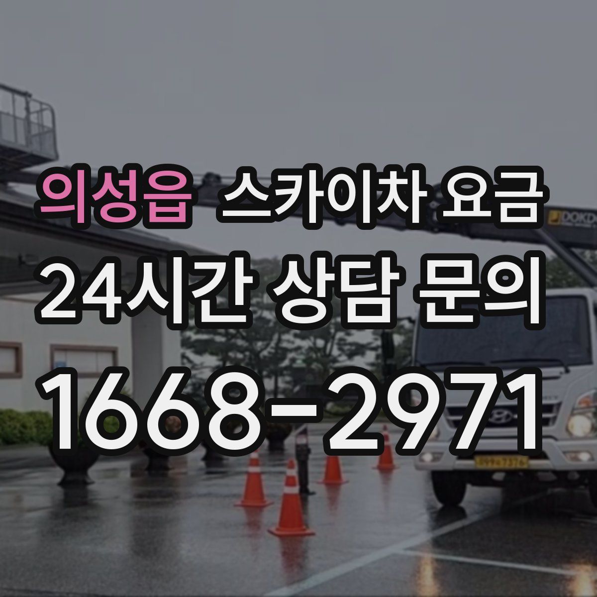 의성읍 스카이차 요금