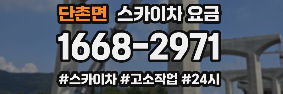 단촌면 스카이차 요금