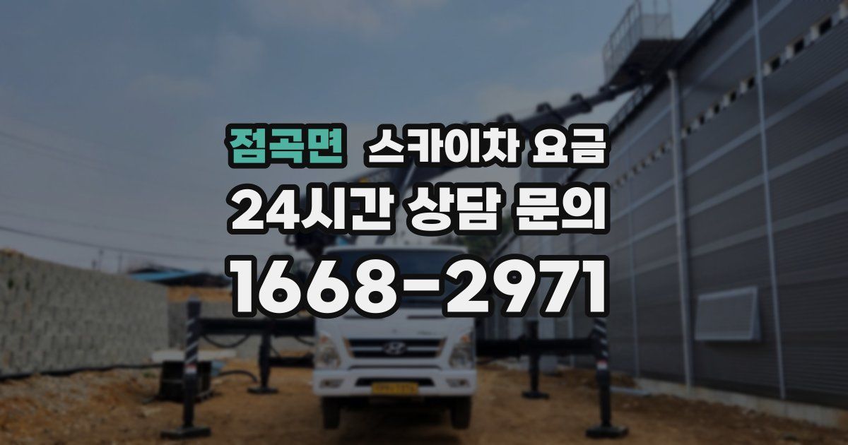 점곡면 스카이차 요금