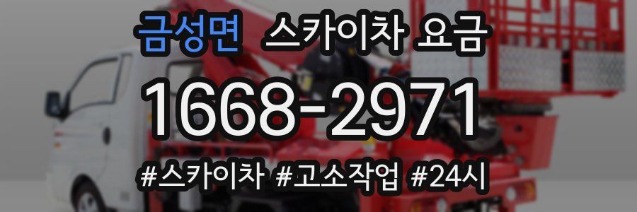 금성면 스카이차 요금