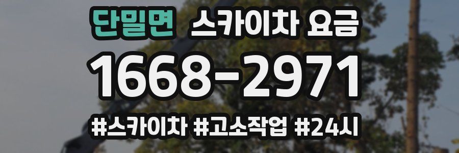 단밀면 스카이차 요금