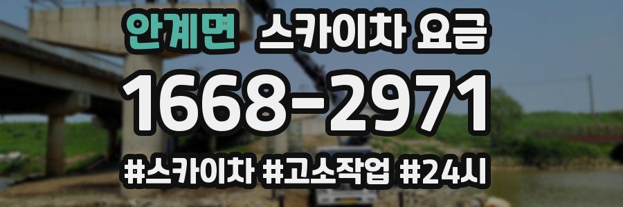 안계면 스카이차 요금
