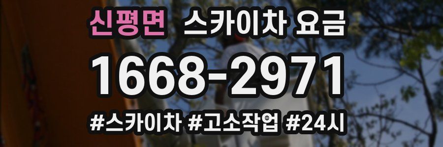 신평면 스카이차 요금
