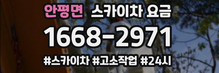안평면 스카이차 요금