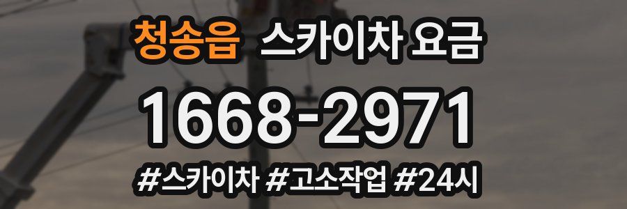 청송읍 스카이차 요금