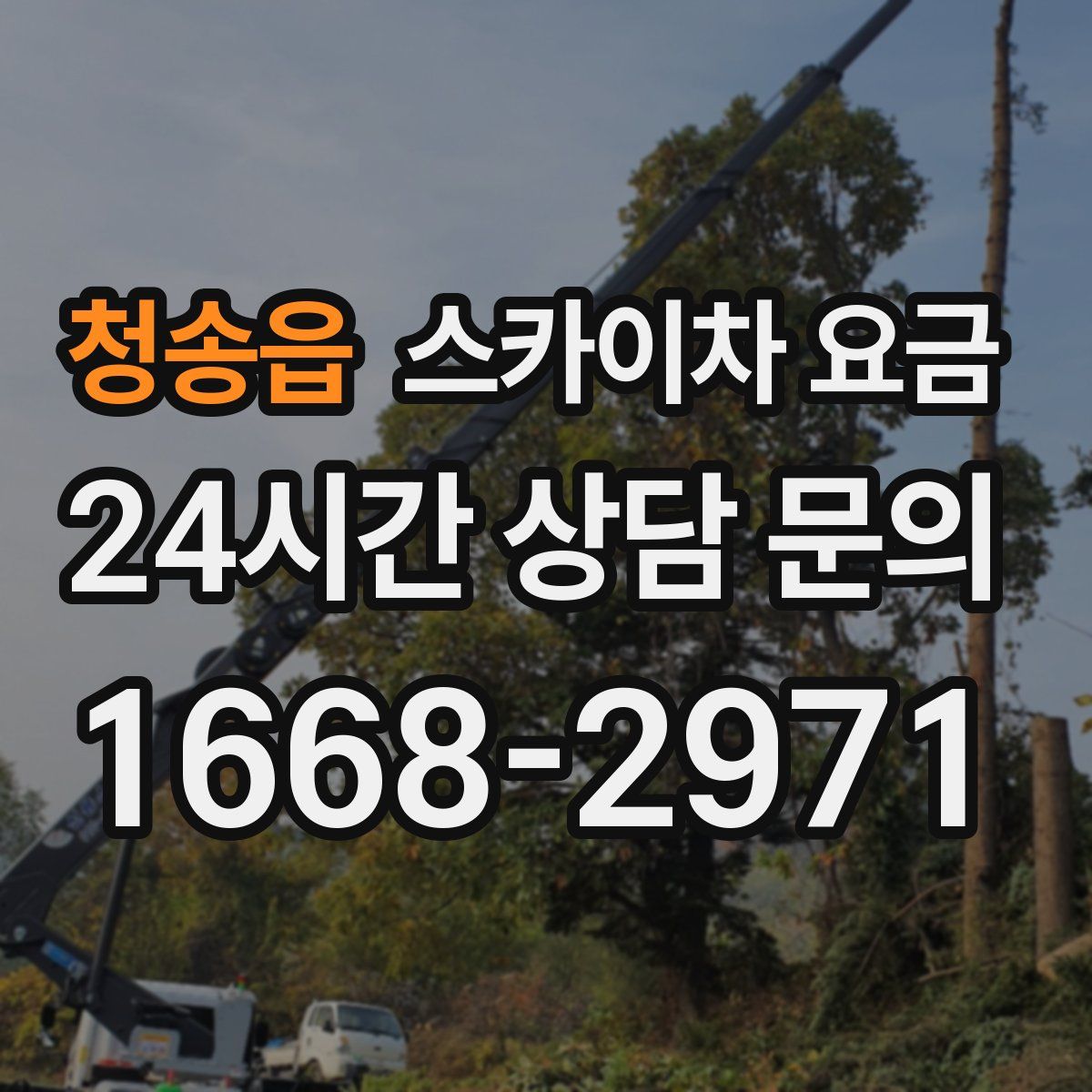 청송읍 스카이차 요금