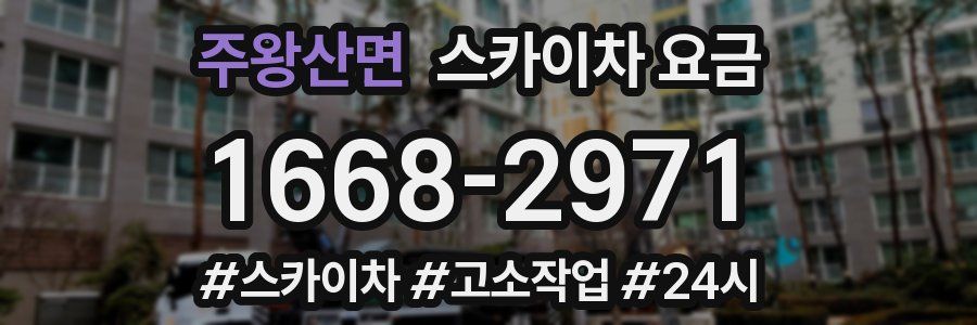 주왕산면 스카이차 요금