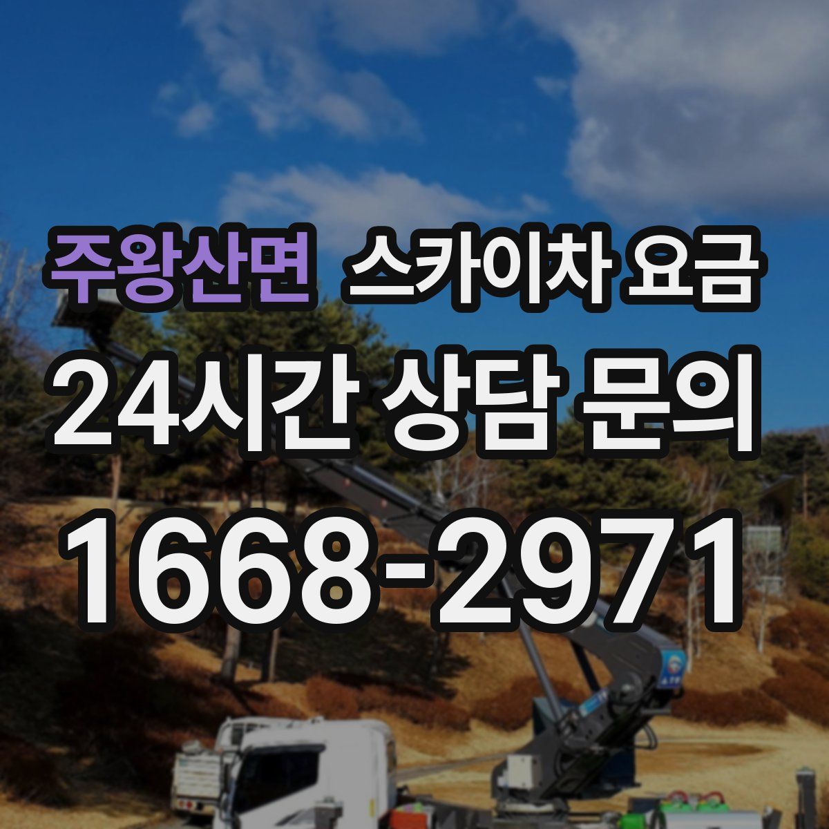 주왕산면 스카이차 요금