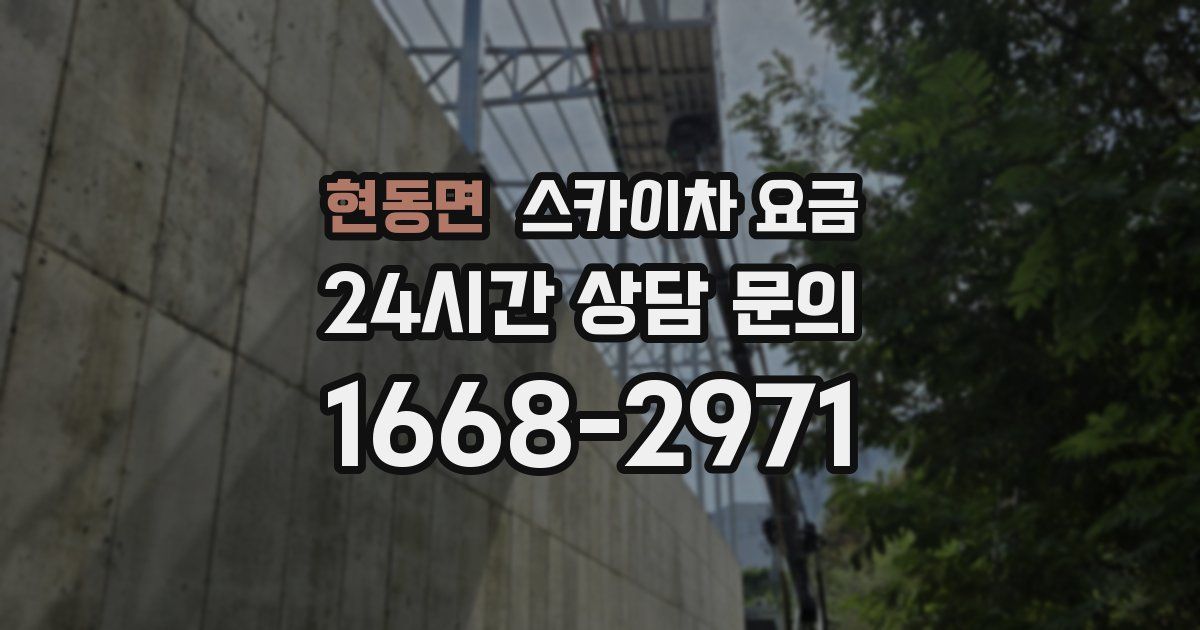 현동면 스카이차 요금