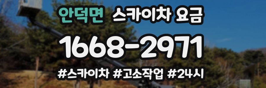 안덕면 스카이차 요금