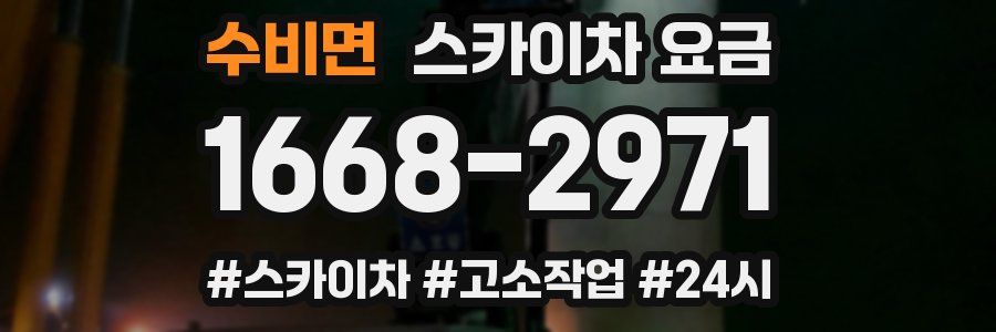 수비면 스카이차 요금
