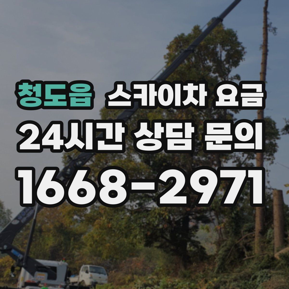 청도읍 스카이차 요금
