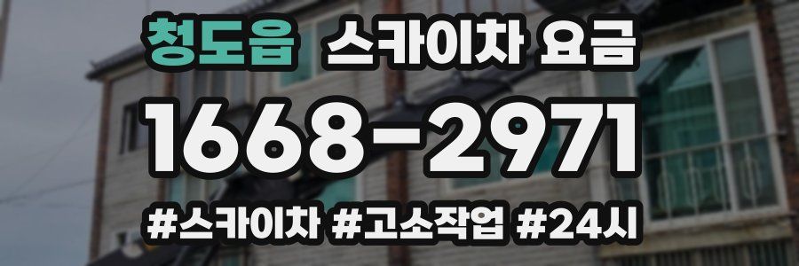 청도읍 스카이차 요금