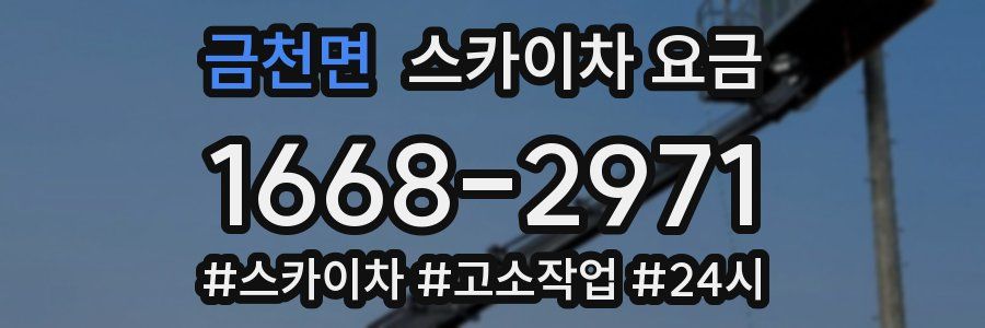금천면 스카이차 요금