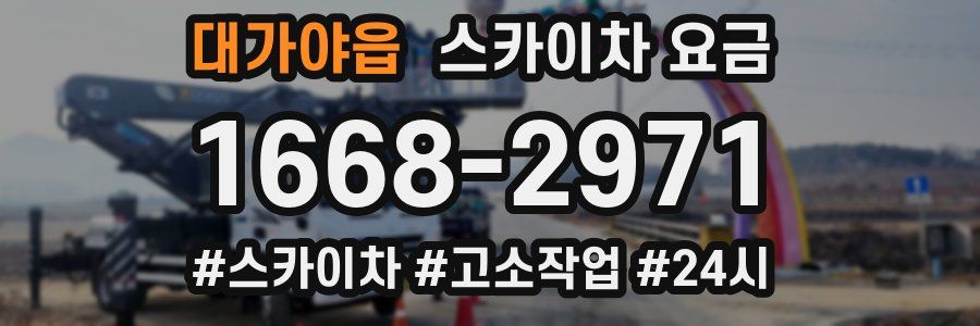 대가야읍 스카이차 요금