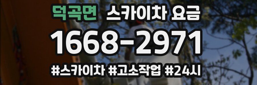 덕곡면 스카이차 요금