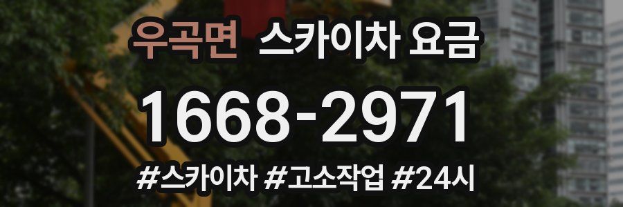 우곡면 스카이차 요금