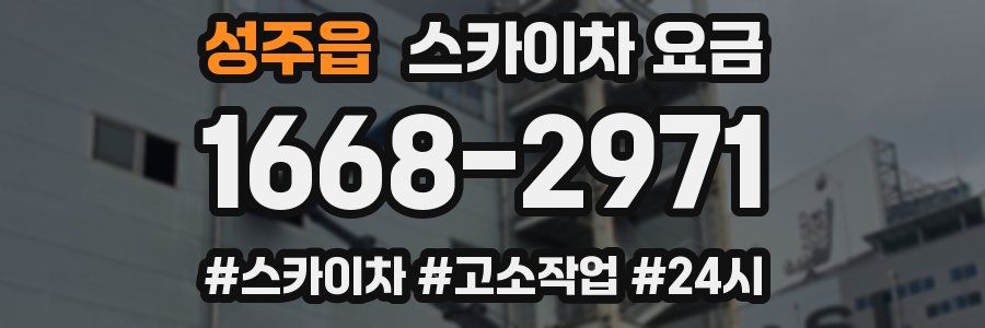 성주읍 스카이차 요금