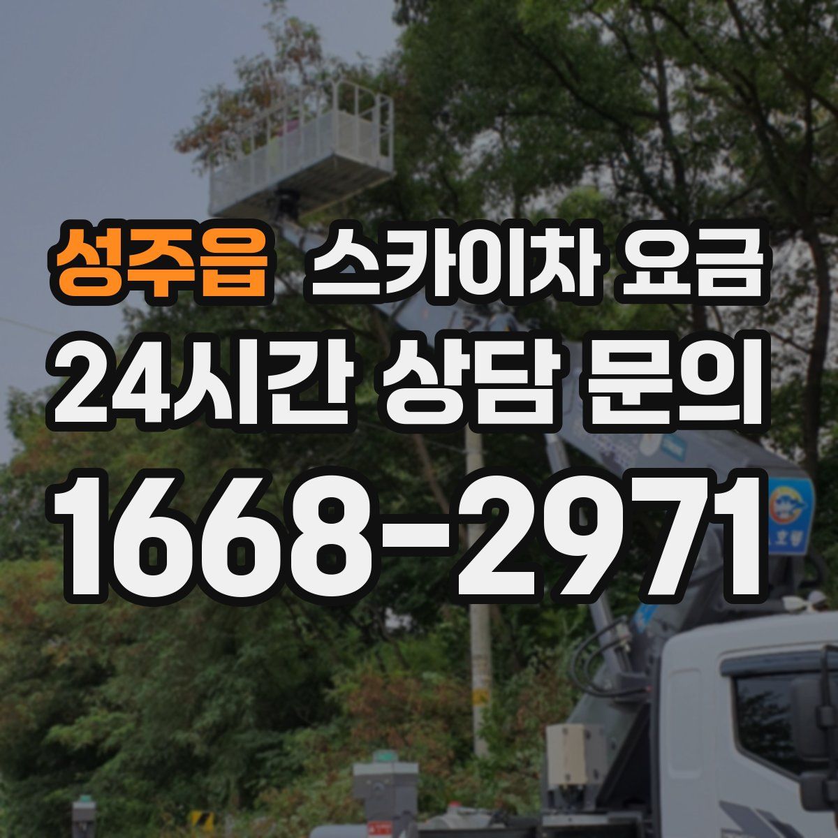 성주읍 스카이차 요금