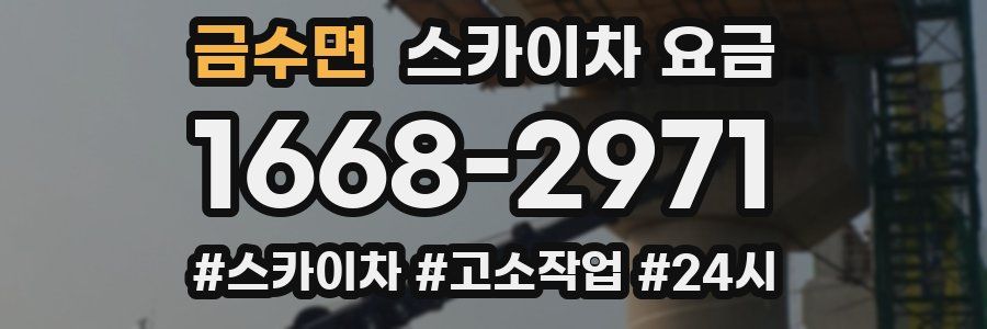 금수면 스카이차 요금